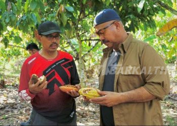 Dinas Perkebunan Kukar Dorong Pertumbuhan Perkebunan Coklat di Loa Kulu dan Kota Bangun