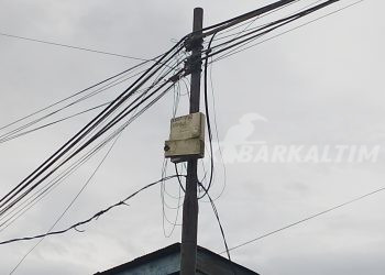 Long Noran Masih Blank Spot, Camat Dorong Perluasan Akses Internet Pedesaan